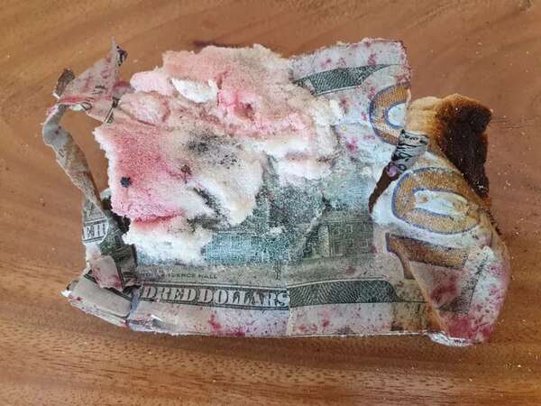 Policía cree que los G. 6.400 millones que llevaba el blindado se destruyeron - Policiales - ABC Color