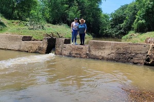 Solicitan que sea declarado de interés departamental la recuperación del Parque Guayakí - Noticiero Paraguay