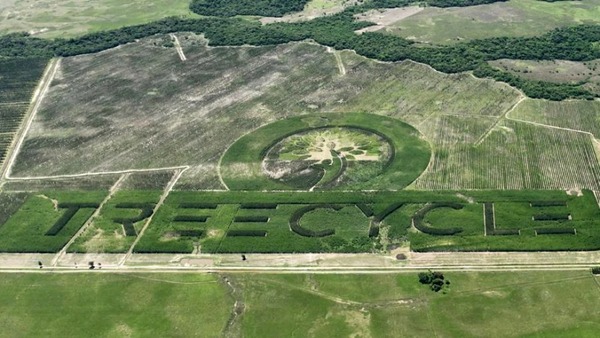 El Logotipo Natural más grande del mundo está en Guairá | 1000 Noticias