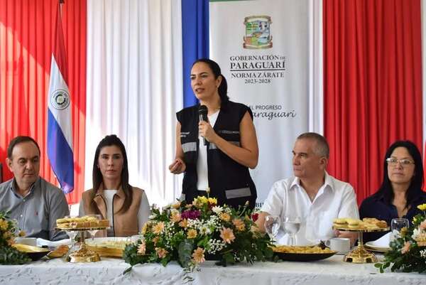 MOPC no cuenta con recursos para adquirir asfalto y atender peligrosos cráteres de ruta PY01 - Nacionales - ABC Color