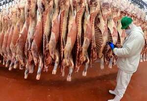 ¿Subirá el precio de la carne en Paraguay?: ARP despeja dudas - Economía - ABC Color