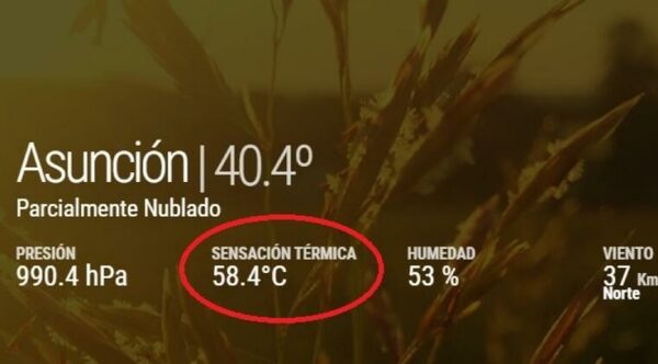 Informan sobre error en los datos de sensación térmica