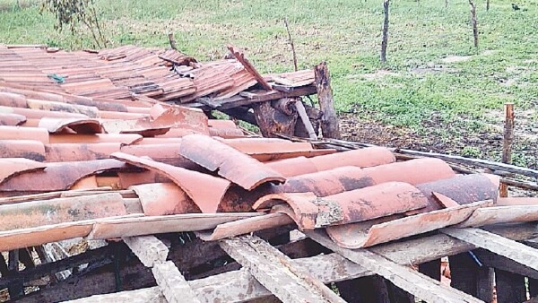 Temporal arrasa casas y árboles por su paso en Itapúa y Ñeembucú