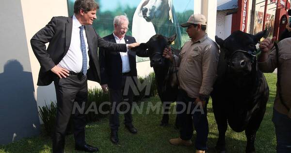 La Nación / Autoridad estadounidense elogia el alto nivel de la ganadería paraguaya