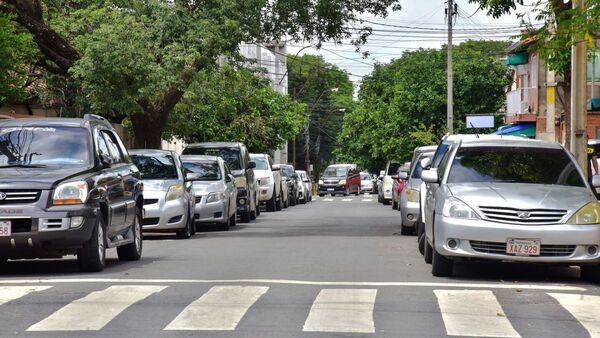 Radiografía de la implementación del estacionamiento tarifado en capital