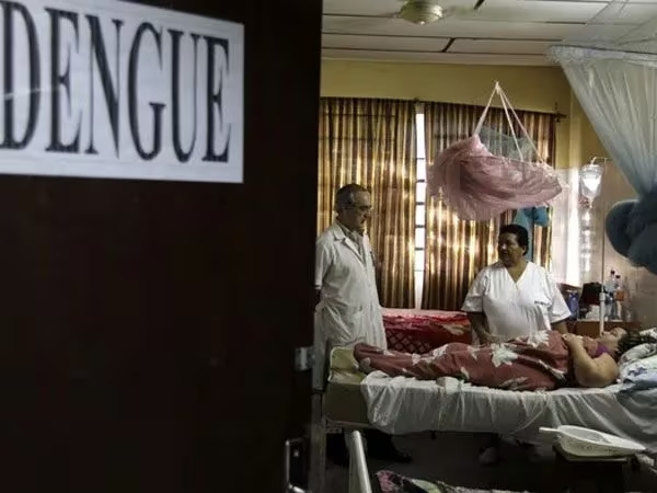 Diario HOY | Grandes epidemias de dengue en Paraguay: un mal de décadas e impredecible para el futuro