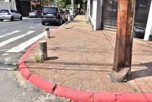 ¿Por qué Nenecho está pintando de rojo los cordones de Asunción? - Nacionales - ABC Color