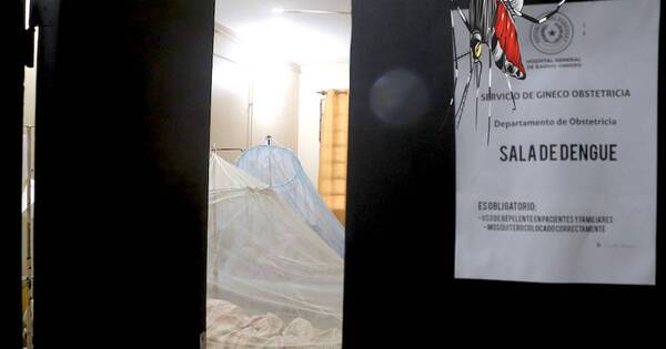 La Nación / Grandes epidemias de dengue en el Paraguay: un mal de décadas