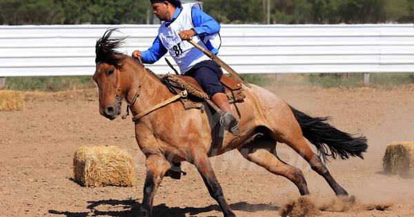 La Nación / Harán competencia de doma y lazo de caballos criollos en el Chaco