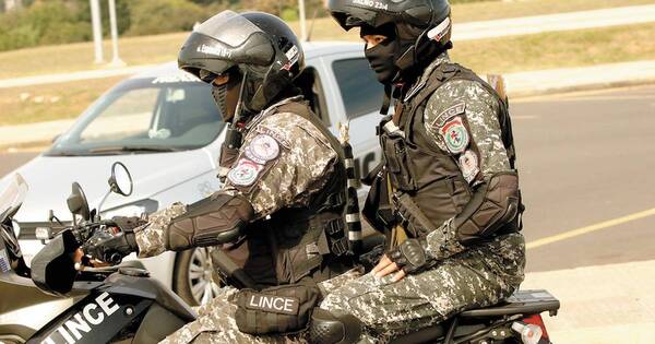 La Nación / Apuntan a aumentar linces en las calles