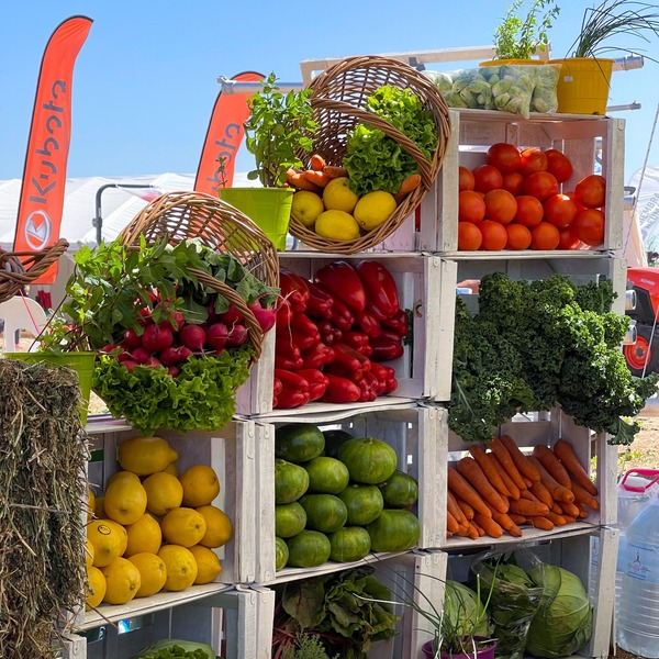 Hortipar: Vuelve la feria más importante del sector hortícola - La Clave