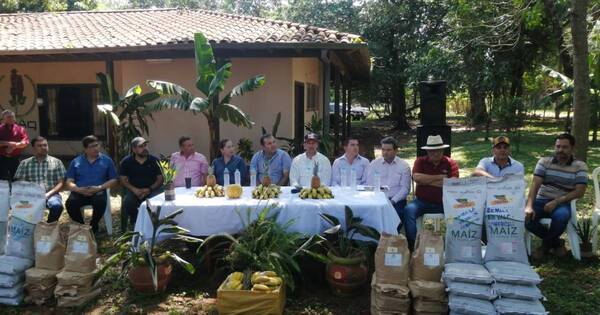 La Nación / Entregaron 200 bolsas de semillas de alta genética a productores de San Pedro