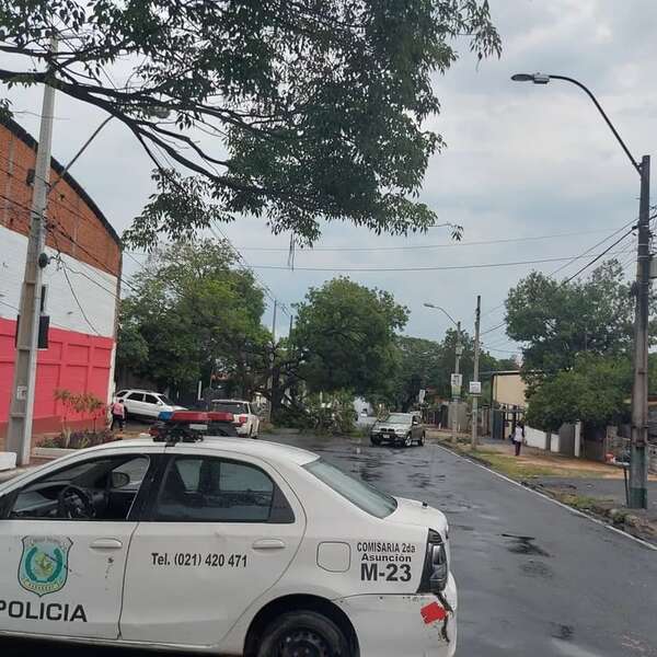 Temporal en Asunción: viento derribó parte de un árbol sobre un auto en Sajonia - Clima - ABC Color