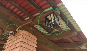 Oleada de robos en barrio 23 de Octubre: esta vez vaciaron el hogar de niños - ADN Digital