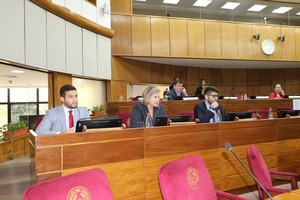 Diario HOY | Sociedades Anónimas en el Fútbol: proyecto Samaniego es tema de debate en el Senado