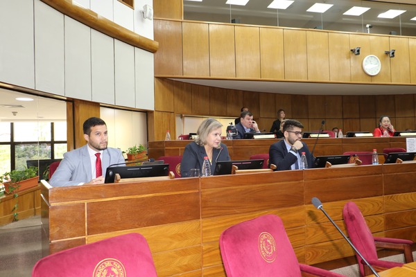 Diario HOY | Sociedades Anónimas en el Fútbol: proyecto Samaniego es tema de debate en el Senado