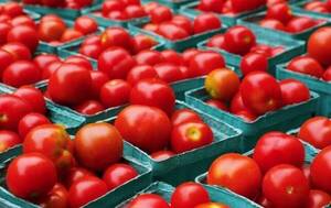 ¡Haihue! Venden tomate a 17 mil el kilo ¿De oro mba'e?