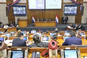Diputados otorgó media sanción al Proyecto de Presupuesto 2024 - El Trueno