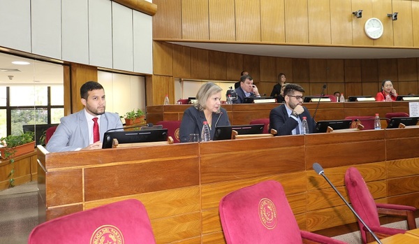 En comisión analizan proyecto que crea la sociedad anónima de fútbol profesional