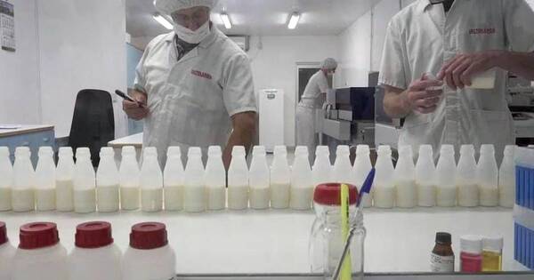 La Nación / Sector lácteo produjo 700 millones de litros en lo que va del año