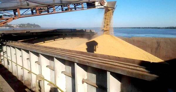 La Nación / Exportaciones crecen 23,6 % ante buena dinámica agrícola