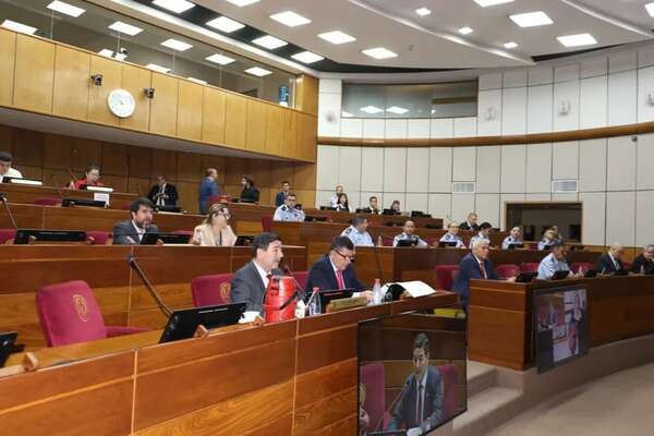 En el Senado, no aclaran financiación para la ley de reforma policial - Política - ABC Color