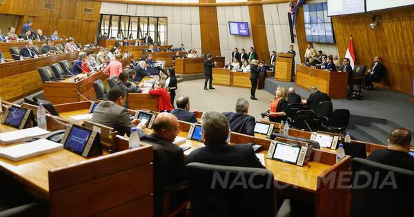 La Nación / Diputados aprueban en general el presupuesto del ejercicio fiscal 2024