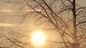 Fiscalía confirma otra muerte más a causa de la ola de calor en el Chaco