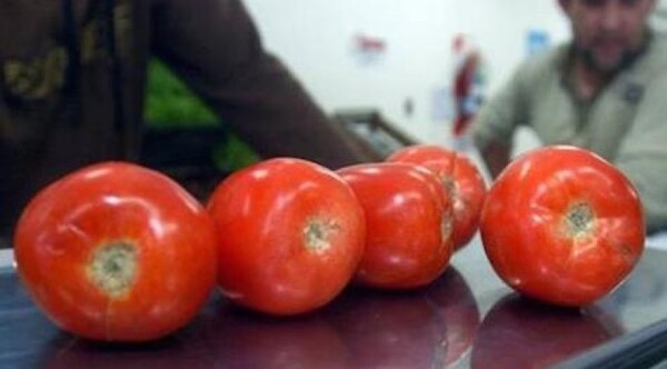 Diario HOY | Venderán tomate a solo G. 9.000 el kilo en tres ferias