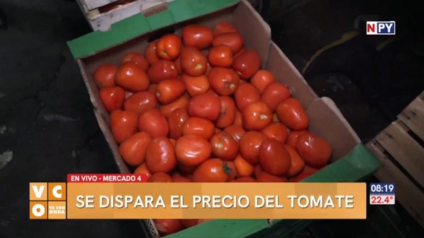 El precio del tomate se dispara a las nubes - Noticias Paraguay
