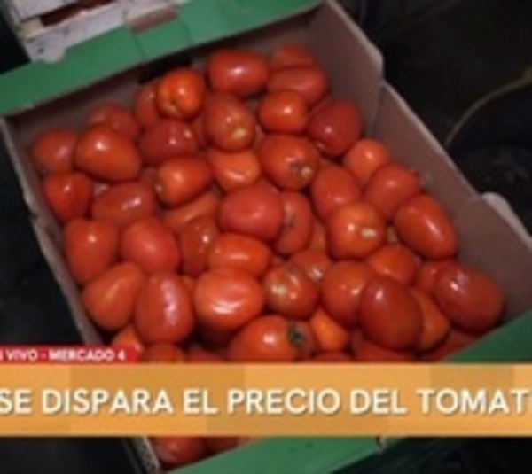 Altos precios del tomate enfrentan a comerciantes contra productores - Paraguay.com