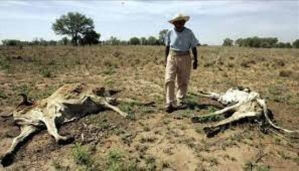 Diario HOY | Mueren sobre tractores, en chacras, en sus casas: ya son 11 fallecidos por calor en Chaco 