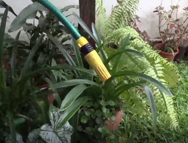 El día más caluroso del año dejaron sin agua a un barrio de Villa Elisa - Nacionales - ABC Color