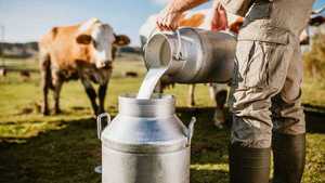 Sector lácteo produjo 700 millones de litros en lo que va del año