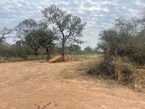 Crisis en el Chaco: investigan muertes súbitas tras ola de calor