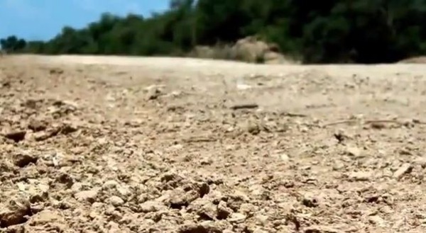 Ya hay más de 10 muertos por la ola de calor en el Chaco - San Lorenzo Hoy