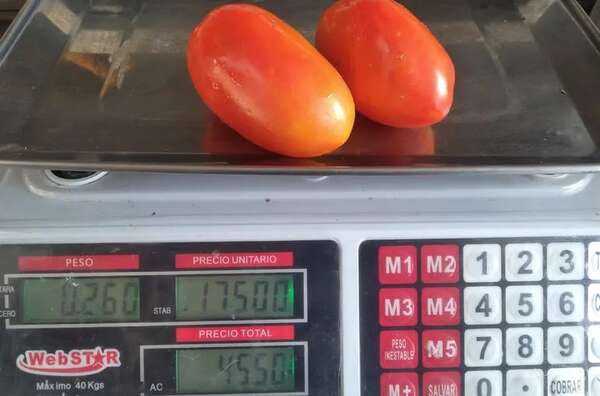 AUDIO: Escasez de tomates se da porque subieron mucho los costos para producción, afirman - Periodísticamente - ABC Color
