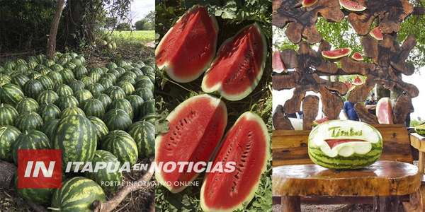 LANZARON LA 4TA EDICIÓN DE LA FIESTA Y EXPOSICIÓN DE SANDÍA EN SAN PEDRO DEL PARANÁ - Itapúa Noticias