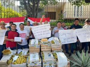 Bolivia y Paraguay dejan de enviar frutas a Argentina, en espera de cobro - Economía - ABC Color