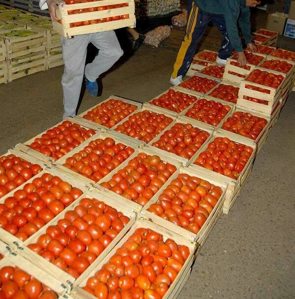 Presionan con aumento en precio del tomate tras el fuerte control al contrabando, aseguran - Unicanal