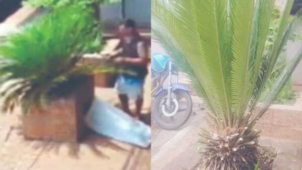 Dejó perõ la planta ajena y le escracharon