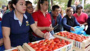 MAG ofertará tomates a G. 9.000 por kilo en Asunción y San Lorenzo