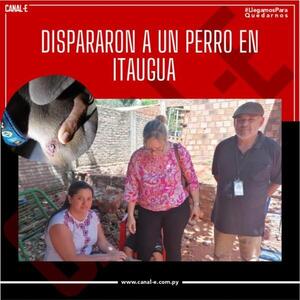 Fiscal interviene en caso de maltrato animal en Itauguá
