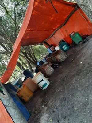 Para FTC, es «improbable» hecho de terrorismo en caso de venezolano secuestrado  