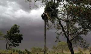 Meteorología: persisten las tormentas y la temperatura va en aumento en Paraguay - Clima - ABC Color