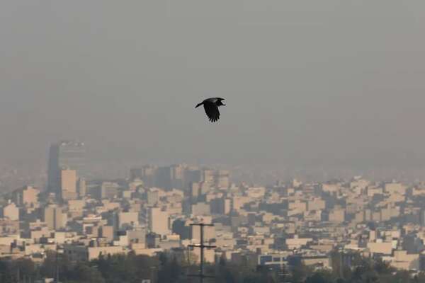Teherán cierra sus colegios por la alta contaminación del aire - Mundo - ABC Color