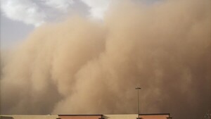 Aumenta la frecuencia de tormentas de arena y polvo en el mundo, advierte la ONU