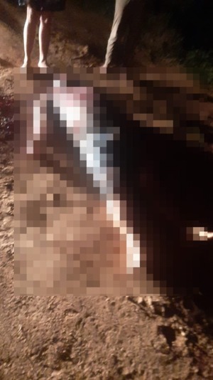 Asesinan a tiros a cuñado de “Aguacate” en Capitán Bado | 1000 Noticias