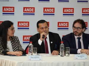 ANDE busca el acceso universal a la energía eléctrica - La Tribuna