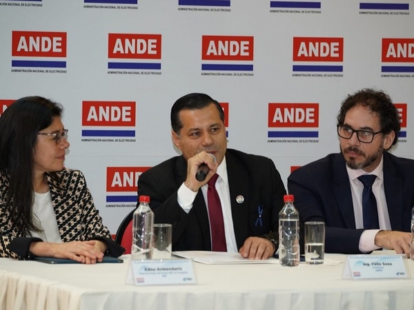 ANDE busca el acceso universal a la energía eléctrica - La Tribuna